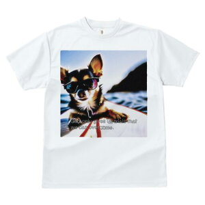 ` TVc fB[X t@  t  vg JWA 킢 lԗp h ̃fUC ʔ TOX ` C T[t{[h