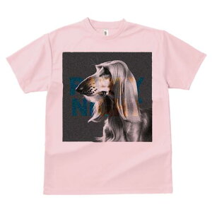 AtKnEh TVc fB[X t@  t  vg JWA 킢 lԗp h ̃fUC ʔ AtKnEh