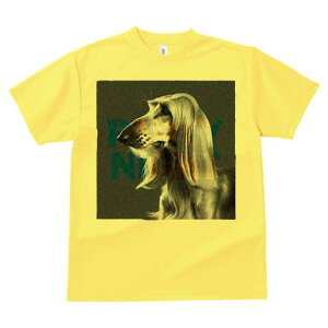 AtKnEh TVc fB[X t@  t  vg JWA 킢 lԗp h ̃fUC ʔ AtKnEh