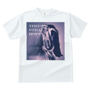 AtKnEh TVc fB[X t@  t  vg JWA 킢 lԗp h ̃fUC ʔ AtKnEh