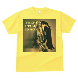 AtKnEh TVc fB[X t@  t  vg JWA 킢 lԗp h ̃fUC ʔ AtKnEh