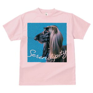 AtKnEh TVc fB[X t@  t  vg JWA 킢 lԗp h ̃fUC ʔ AtKnEh