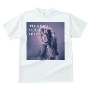 AtKnEh TVc fB[X t@  t  vg JWA 킢 lԗp h ̃fUC ʔ AtKnEh