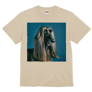 AtKnEh TVc fB[X t@  t  vg JWA 킢 lԗp h ̃fUC ʔ AtKnEh