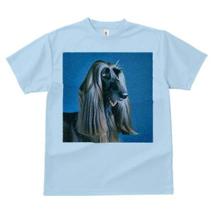 AtKnEh TVc fB[X t@  t  vg JWA 킢 lԗp h ̃fUC ʔ AtKnEh