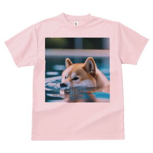 Č TVc fB[X t@  t  vg JWA 킢 lԗp h ̃fUC ʔ  Č v[