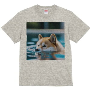 Č TVc fB[X t@  t  vg JWA 킢 lԗp h ̃fUC ʔ  Č v[