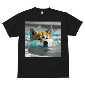 Č TVc fB[X t@  t  vg JWA 킢 lԗp h ̃fUC ʔ  Č