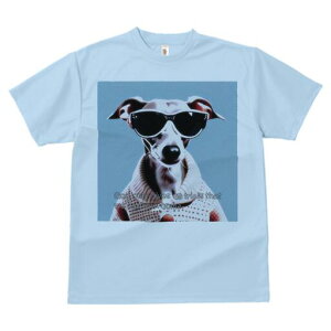 C^AO[nEh TVc fB[X t@  t  vg JWA 킢 lԗp h ̃fUC ʔ TOX C^AO[nEh 