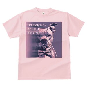 AJsbgueA TVc fB[X t@  t  vg JWA 킢 lԗp h ̃fUC ʔ lN^C AJsbgueA