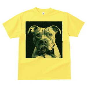 AJsbgueA TVc fB[X t@  t  vg JWA 킢 lԗp h ̃fUC ʔ lN^C AJsbgueA