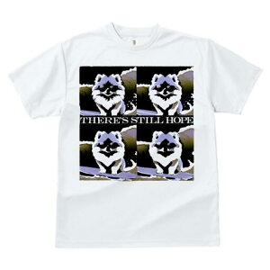 |jA TVc fB[X t@  t  vg JWA 킢 lԗp h ̃fUC ʔ g |jA T[tB