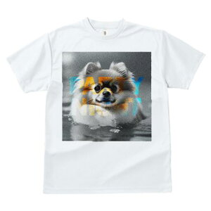 |jA TVc fB[X t@  t  vg JWA 킢 lԗp h ̃fUC ʔ |jA