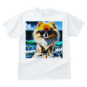 |jA TVc fB[X t@  t  vg JWA 킢 lԗp h ̃fUC ʔ TOX |jA C g T[t{[h