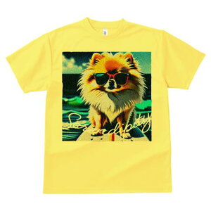 |jA TVc fB[X t@  t  vg JWA 킢 lԗp h ̃fUC ʔ TOX |jA C g T[t{[h