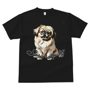 yLj[Y TVc fB[X t@  t  vg JWA 킢 lԗp h ̃fUC ʔ Kl yLj[Y