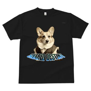 R[M[ TVc fB[X t@  t  vg JWA 킢 lԗp h ̃fUC ʔ  R[M[ 