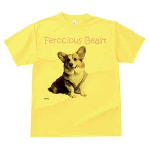 R[M[ TVc fB[X t@  t  vg JWA 킢 lԗp h ̃fUC ʔ Ȃ R[M[