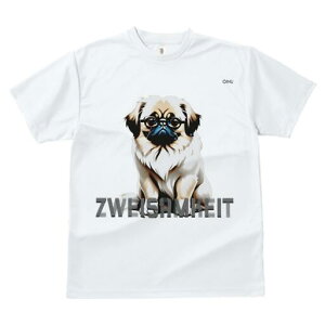 yLj[Y TVc fB[X t@  t  vg JWA 킢 lԗp h ̃fUC ʔ Kl yLj[Y