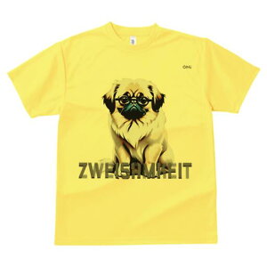 yLj[Y TVc fB[X t@  t  vg JWA 킢 lԗp h ̃fUC ʔ Kl yLj[Y