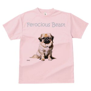 yLj[Y TVc fB[X t@  t  vg JWA 킢 lԗp h ̃fUC ʔ Kl yLj[Y