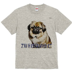 yLj[Y TVc fB[X t@  t  vg JWA 킢 lԗp h ̃fUC ʔ Kl yLj[Y