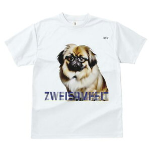 yLj[Y TVc fB[X t@  t  vg JWA 킢 lԗp h ̃fUC ʔ Kl yLj[Y