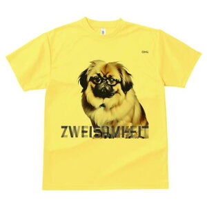 yLj[Y TVc fB[X t@  t  vg JWA 킢 lԗp h ̃fUC ʔ Kl yLj[Y