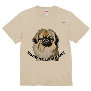 yLj[Y TVc fB[X t@  t  vg JWA 킢 lԗp h ̃fUC ʔ Kl yLj[Y