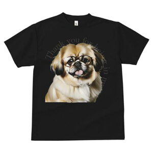 yLj[Y TVc fB[X t@  t  vg JWA 킢 lԗp h ̃fUC ʔ Kl yLj[Y