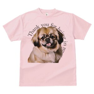 yLj[Y TVc fB[X t@  t  vg JWA 킢 lԗp h ̃fUC ʔ Kl yLj[Y