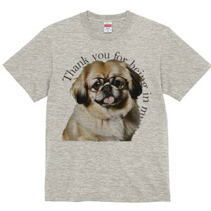 yLj[Y TVc fB[X t@  t  vg JWA 킢 lԗp h ̃fUC ʔ Kl yLj[Y