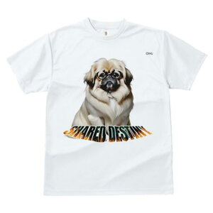 yLj[Y TVc fB[X t@  t  vg JWA 킢 lԗp h ̃fUC ʔ Kl yLj[Y