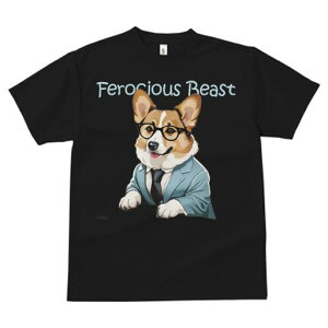 R[M[ TVc Y LbY t@  t  vg JWA 킢 lԗp h ̃fUC ʔ X[c R[M[ Kl rWlX