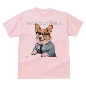 �R�[�M�[ T�V���c �����Y �L�b�Y ���t�@�� ���� �t�� ���� �v�����g �J�W���A�� ���킢�� �l�ԗp ���h ���������̃f�U�C�� �ʔ� �X�[�c �R�[�M�[ ���K�l �r�W�l�X