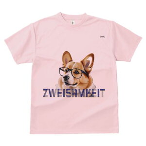 R[M[ TVc fB[X t@  t  vg JWA 킢 lԗp h ̃fUC ʔ Kl R[M[