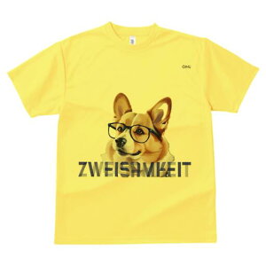 R[M[ TVc fB[X t@  t  vg JWA 킢 lԗp h ̃fUC ʔ Kl R[M[