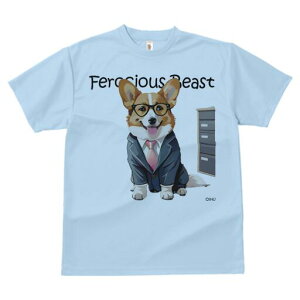 R[M[ TVc fB[X t@  t  vg JWA 킢 lԗp h ̃fUC ʔ X[c R[M[ lN^C Kl ItBX