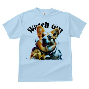 R[M[ TVc fB[X t@  t  vg JWA 킢 lԗp h ̃fUC ʔ F R[M[