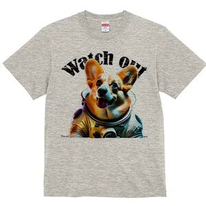 R[M[ TVc fB[X t@  t  vg JWA 킢 lԗp h ̃fUC ʔ F R[M[