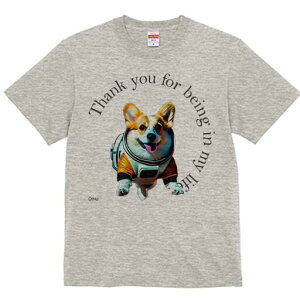 R[M[ TVc fB[X t@  t  vg JWA 킢 lԗp h ̃fUC ʔ F R[M[