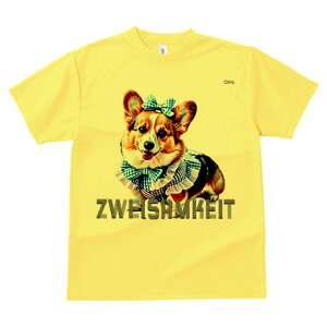 R[M[ TVc fB[X t@  t  vg JWA 킢 lԗp h ̃fUC ʔ { R[M[ 