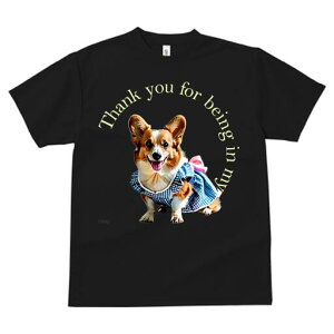 R[M[ TVc fB[X t@  t  vg JWA 킢 lԗp h ̃fUC ʔ  R[M[ {