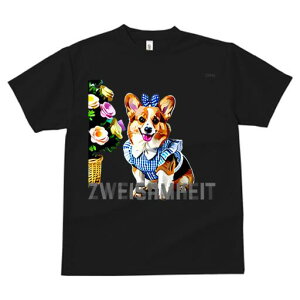 R[M[ TVc Y LbY t@  t  vg JWA 킢 lԗp h ̃fUC ʔ  R[M[ ԑ { s[X