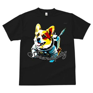 R[M[ TVc fB[X t@  t  vg JWA 킢 lԗp h ̃fUC ʔ F R[M[ F Pbg