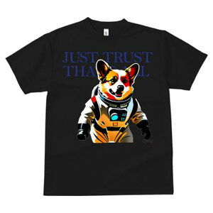 R[M[ TVc fB[X t@  t  vg JWA 킢 lԗp h ̃fUC ʔ F R[M[ Fsm