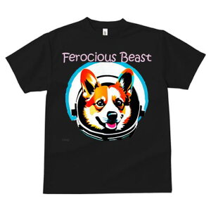 R[M[ TVc fB[X t@  t  vg JWA 킢 lԗp h ̃fUC ʔ F R[M[