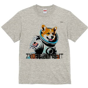 R[M[ TVc fB[X t@  t  vg JWA 킢 lԗp h ̃fUC ʔ Fsm R[M[ Xy[X AJ