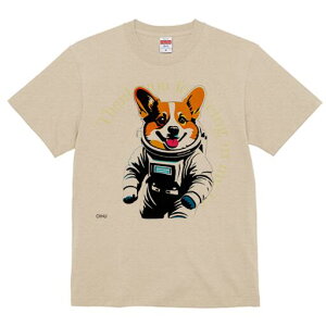 R[M[ TVc fB[X t@  t  vg JWA 킢 lԗp h ̃fUC ʔ Fsm R[M[ Xy[X F