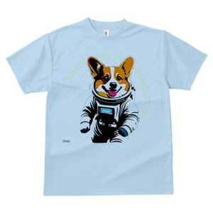 R[M[ TVc fB[X t@  t  vg JWA 킢 lԗp h ̃fUC ʔ Fsm R[M[ Xy[X F